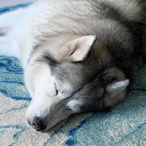 Meet your Posher, Michéle